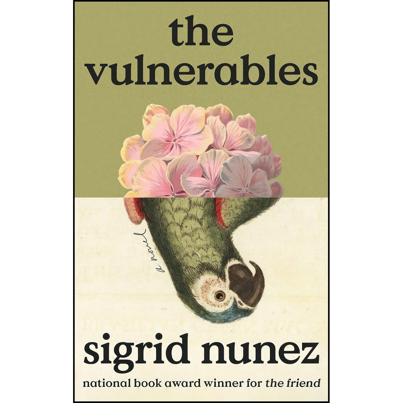 کتاب The Vulnerables اثر Sigrid Nunez انتشارات Riverhead Books