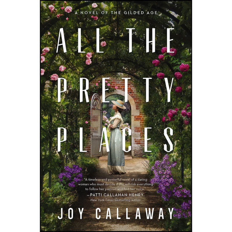 کتاب All the Pretty Places اثر Joy Callaway انتشارات Harper Muse