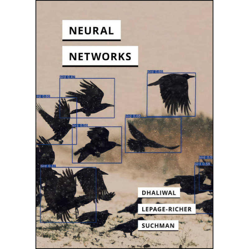 کتاب Neural Networks  اثر Ranjodh Singh Dhaliwal انتشارات University of Minnesota Press