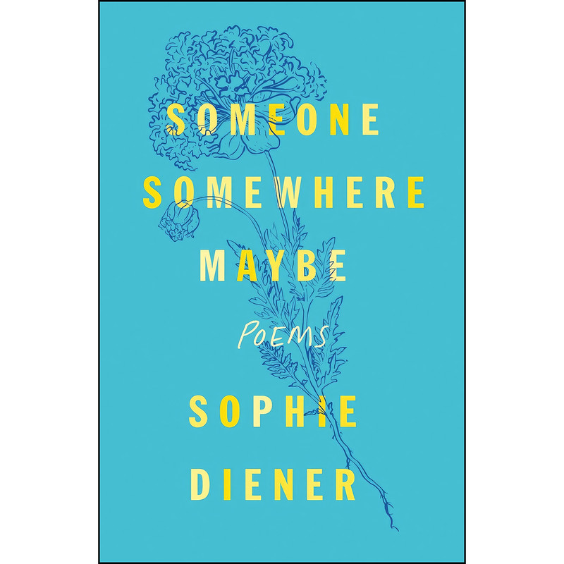 کتاب Someone Somewhere Maybe اثر Sophie Diener انتشارات تازه ها