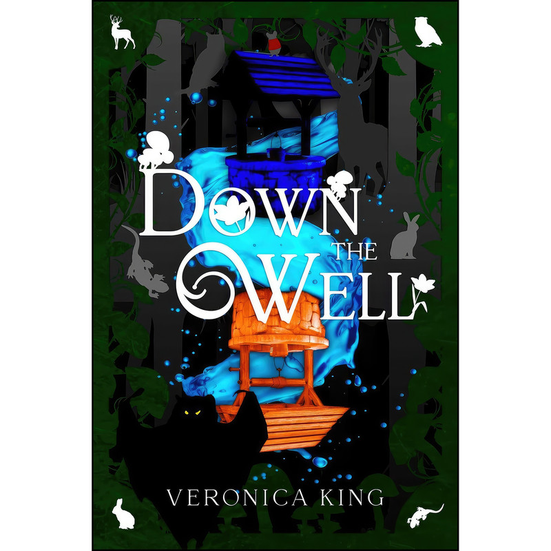 کتاب Down The Well  اثر Veronica King انتشارات Emerge