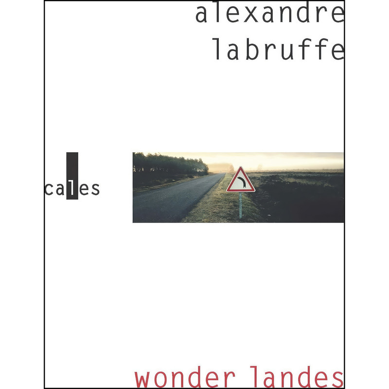 کتاب Wonder Landes اثر Alexandre Labruffe انتشارات VERTICALES