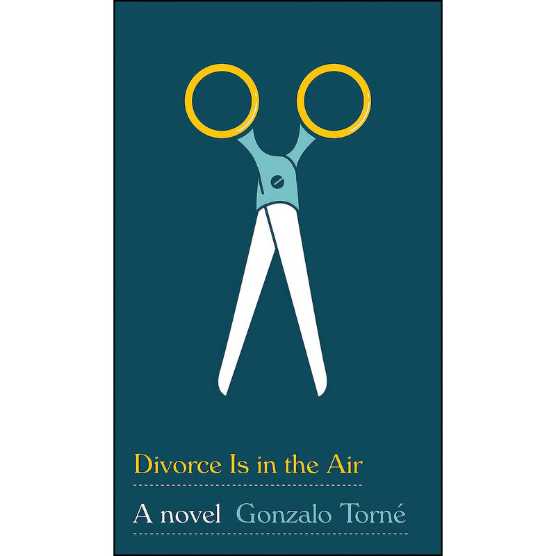 کتاب Divorce Is in the Air اثر Megan McDowell انتشارات Knopf