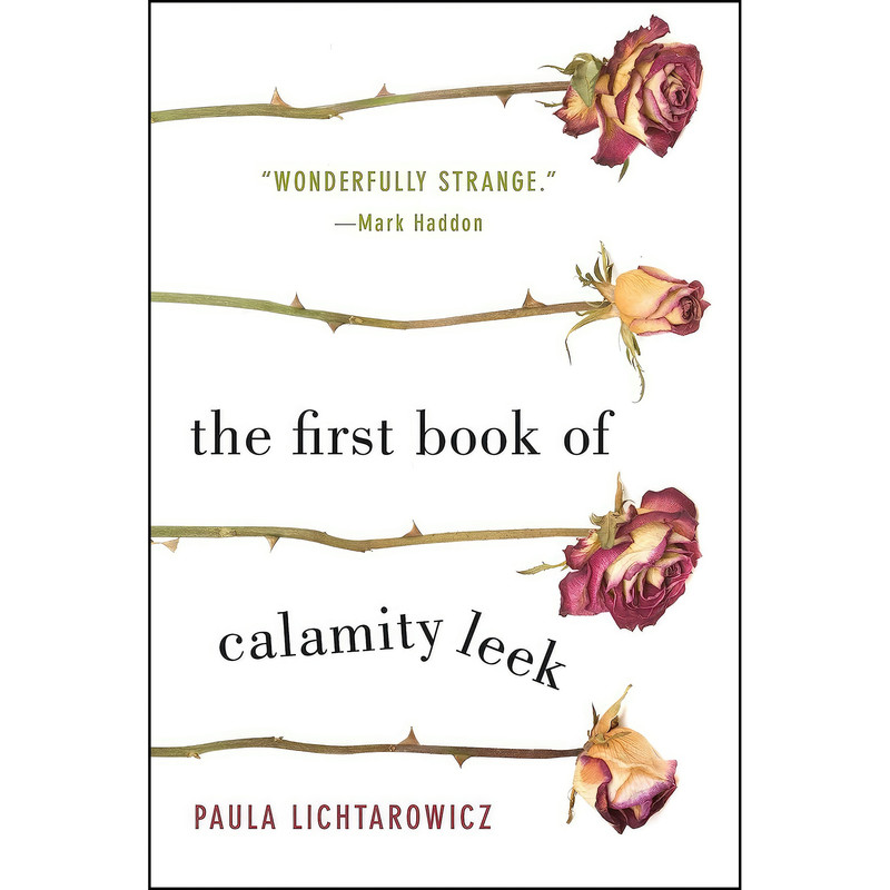 کتاب Lichtarowicz, P اثر Paula Lichtarowicz انتشارات Flatiron Books