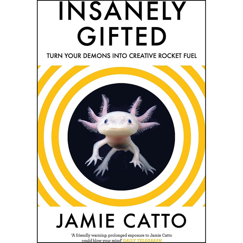 کتاب Insanely Gifted اثر Jamie Catto انتشارات Canongate Books