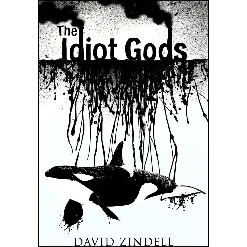 کتاب IDIOT GODS- HB اثر David Zindell انتشارات HarperVoyager