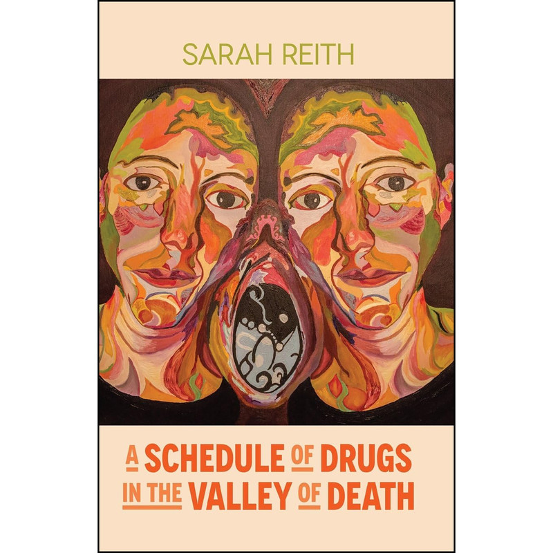کتاب A Schedule of Drugs in the Valley of Death اثر Sarah Reith انتشارات Bedazzled Ink Publishing