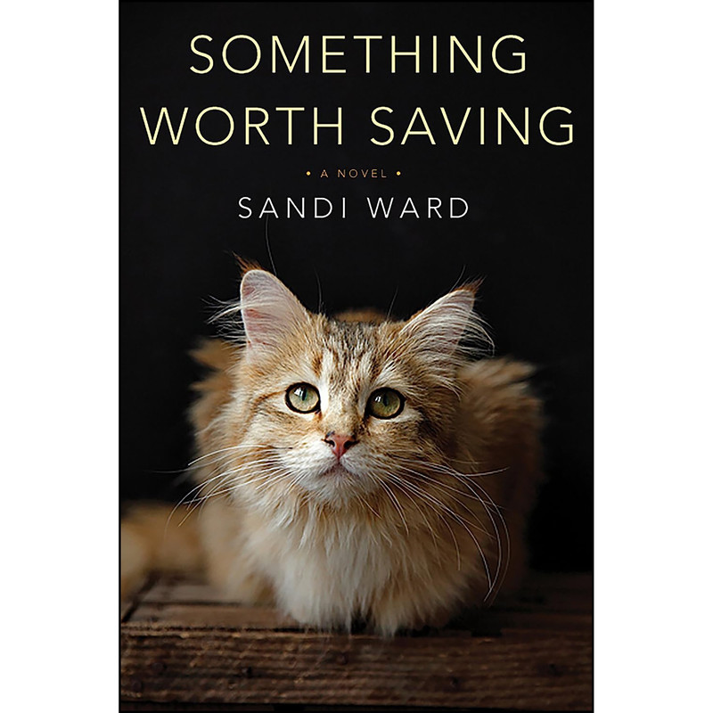 کتاب Something Worth Saving اثر Sandi Ward انتشارات Kensington