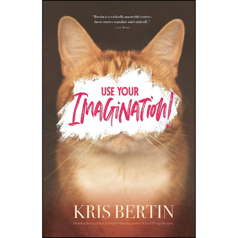 کتاب Use Your Imagination اثر Kris Bertin انتشارات Nimbus Publishing