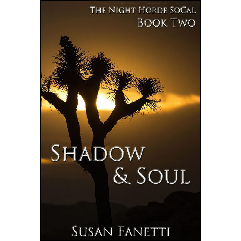 کتاب Shadow & Soul اثر Susan Fanetti انتشارات تازه ها