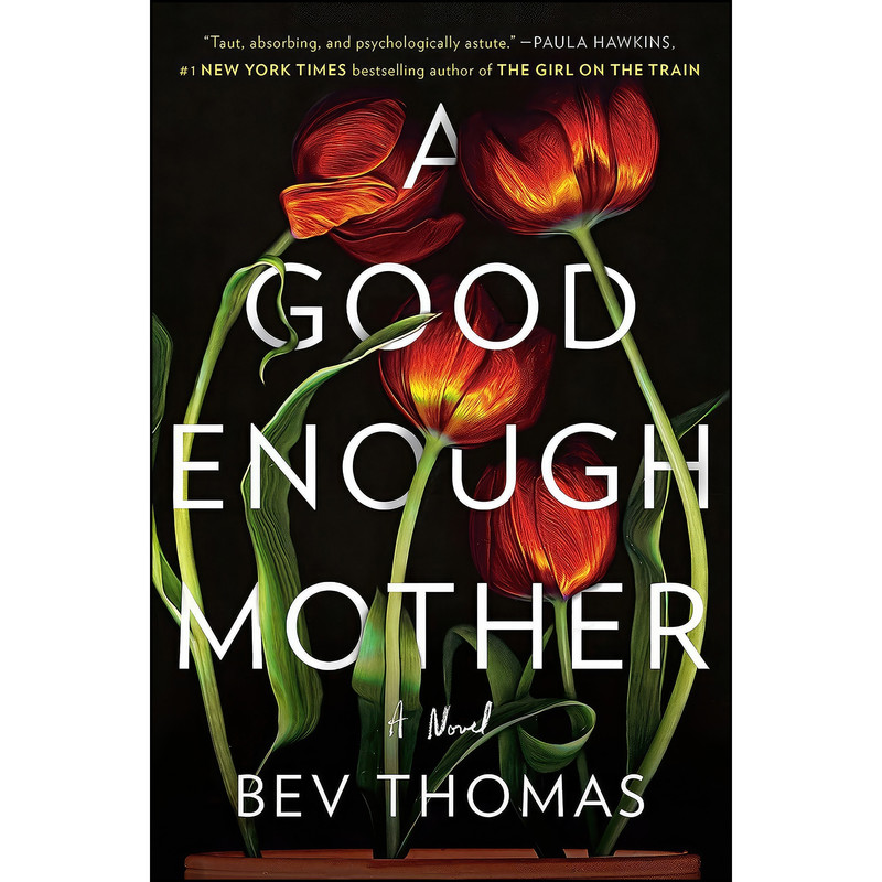 کتاب A Good Enough Mother اثر Bev Thomas انتشارات Pamela Dorman Books
