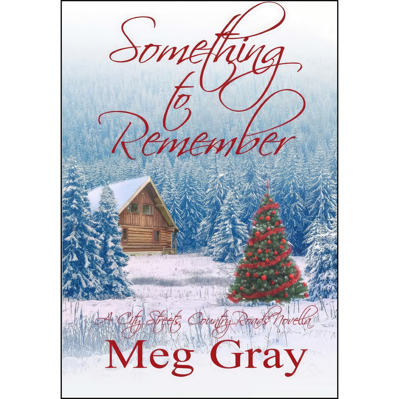 کتاب Something to Remember اثر Meg Gray انتشارات تازه ها