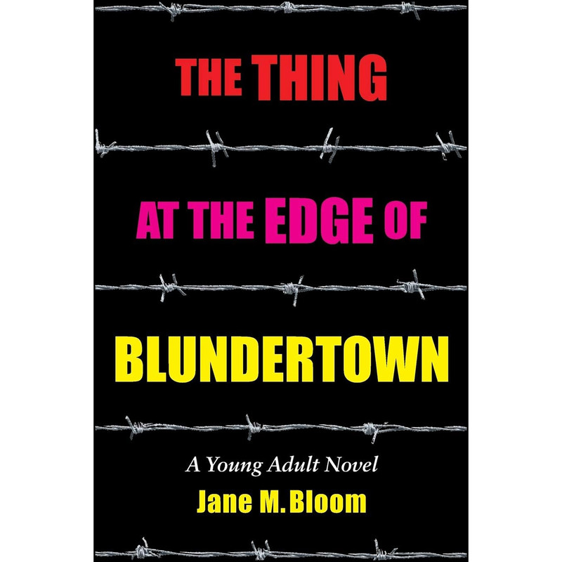 کتاب The Thing at the Edge of Blundertown اثر Jane M Bloom انتشارات Full Court Press