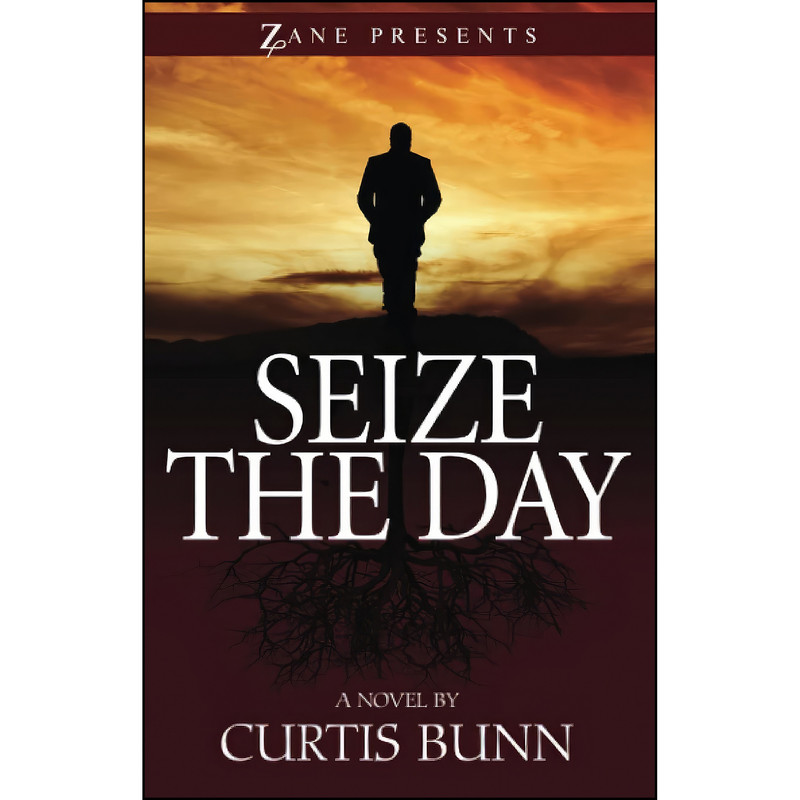 کتاب Seize the Day اثر Curtis Bunn انتشارات Strebor