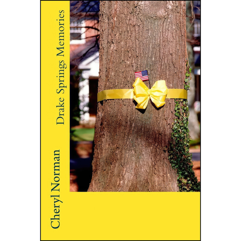 کتاب Drake Springs Memories اثر Cheryl Norman انتشارات تازه ها