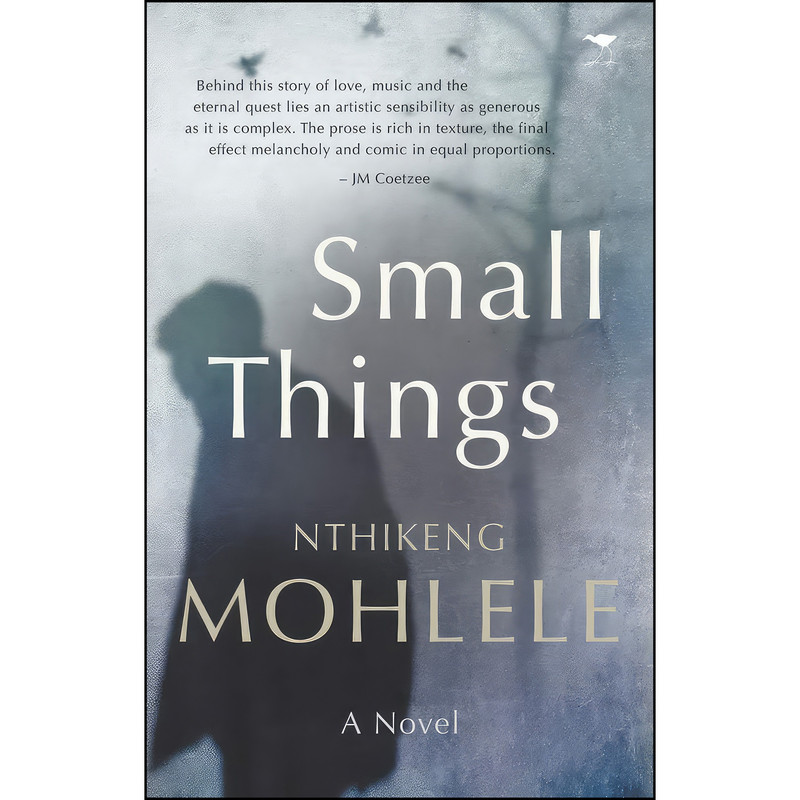 کتاب Small Things اثر Nthikeng Mohlele انتشارات Jacana Media