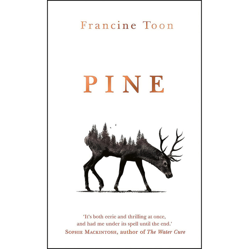 کتاب Pine اثر Francine Toon انتشارات Doubleday