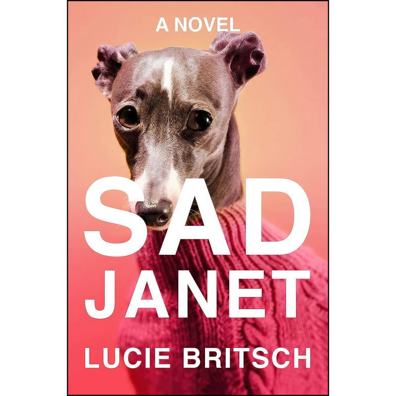کتاب Sad Janet اثر Lucie Britsch انتشارات Riverhead Books