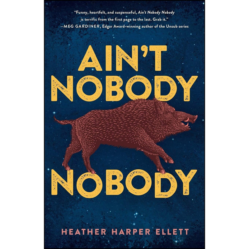 کتاب Ain’t Nobody Nobody اثر Heather Harper Ellett انتشارات Polis Books