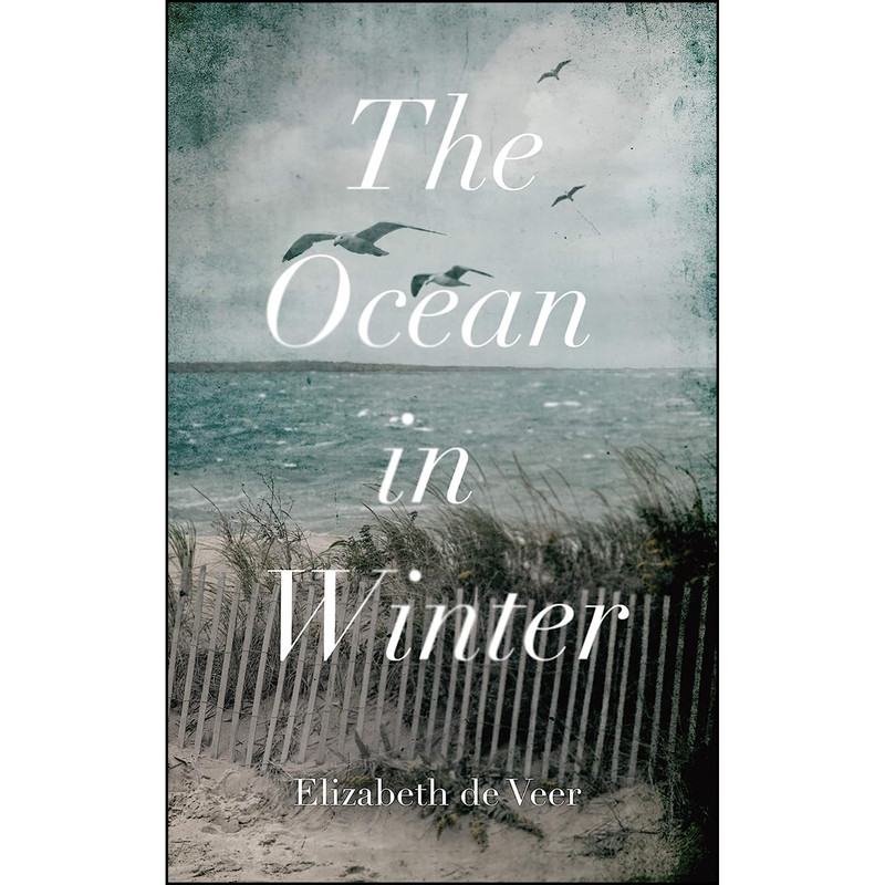 کتاب The Ocean in Winter اثر Elizabeth de Veer انتشارات Blackstone Publishing