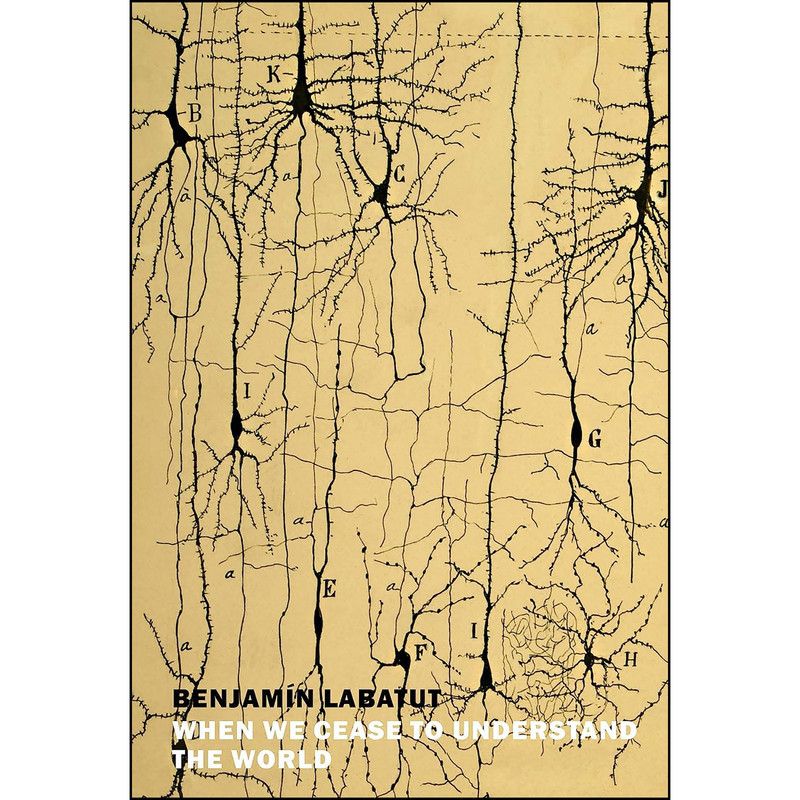 کتاب When We Cease to Understand the World اثر جمعي از نويسندگان انتشارات New York Review Books