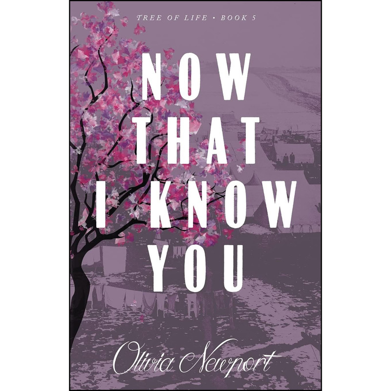 کتاب Now That I Know You اثر Olivia Newport انتشارات Solano Sun