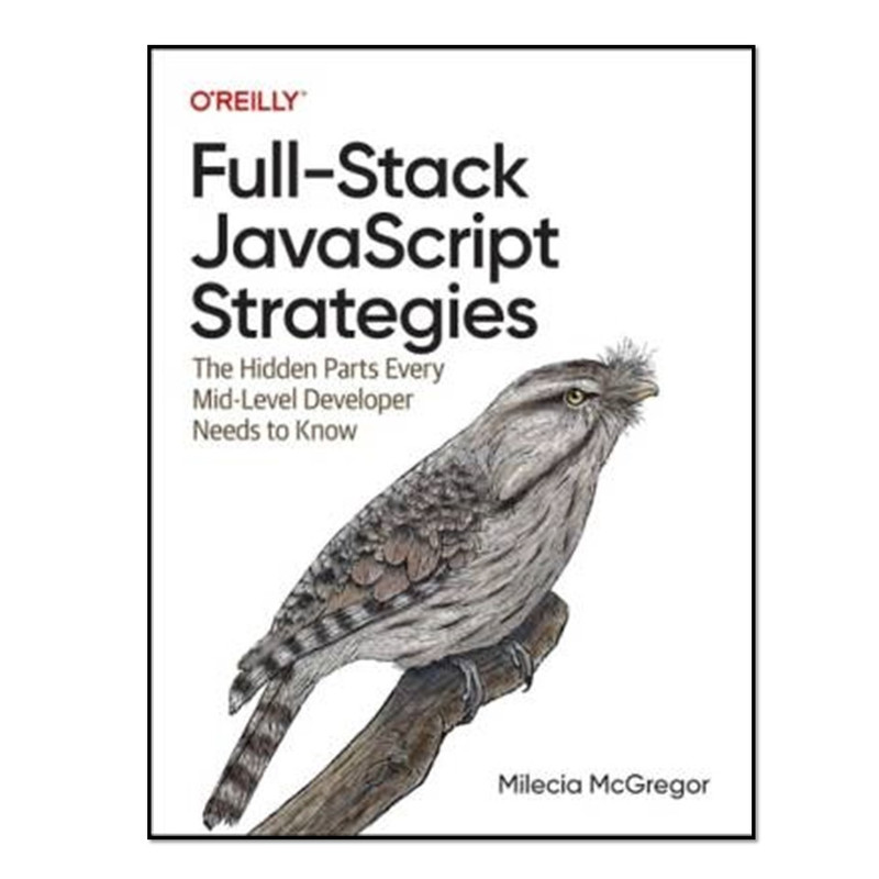 کتاب Full Stack JavaScript Strategies اثر Milecia McGregor انتشارات آوای مؤلف