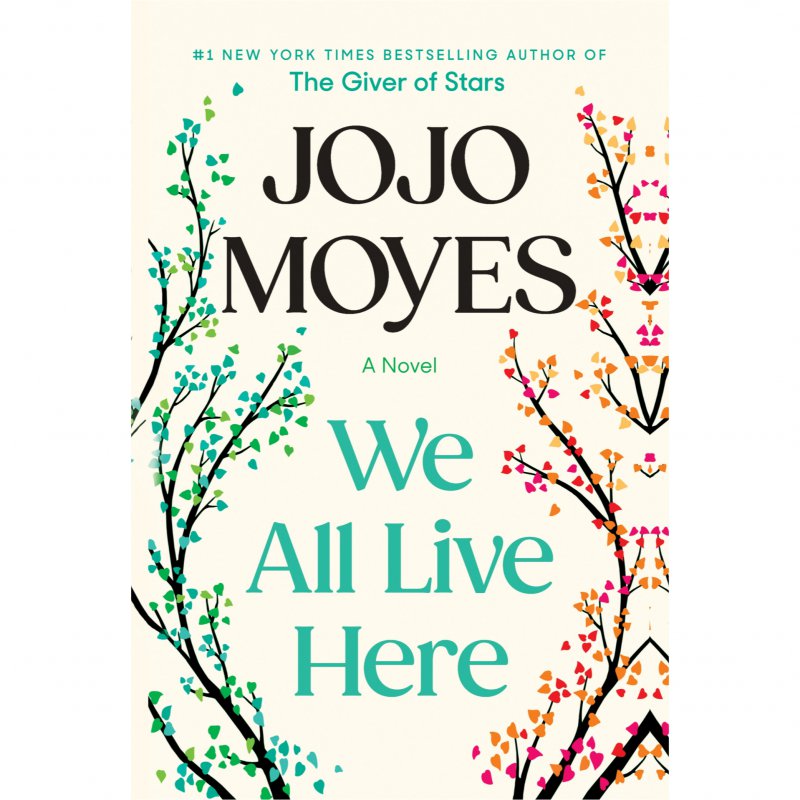كتاب رمان انگليسی WE ALL LIVE HERE