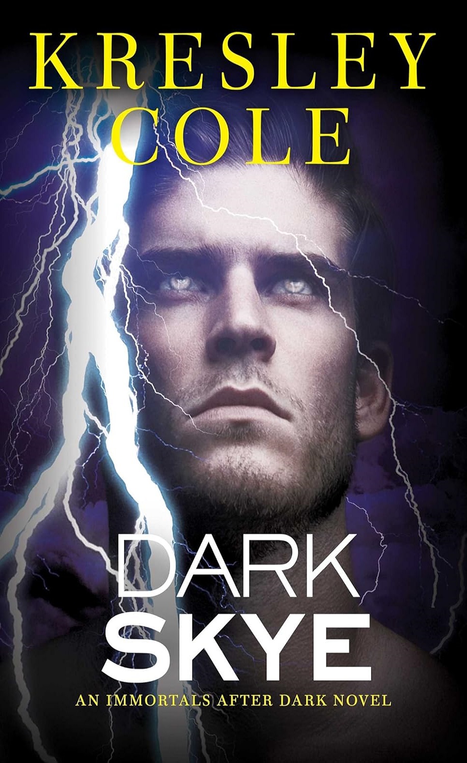 کتاب Dark Skye (Immortals After Dark Book 15) اثر Kresley Cole