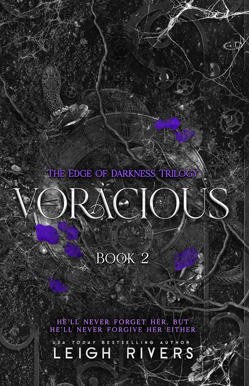 کتاب Voracious (The Edge of Darkness Trilogy Book 2) اثر Leigh Rivers