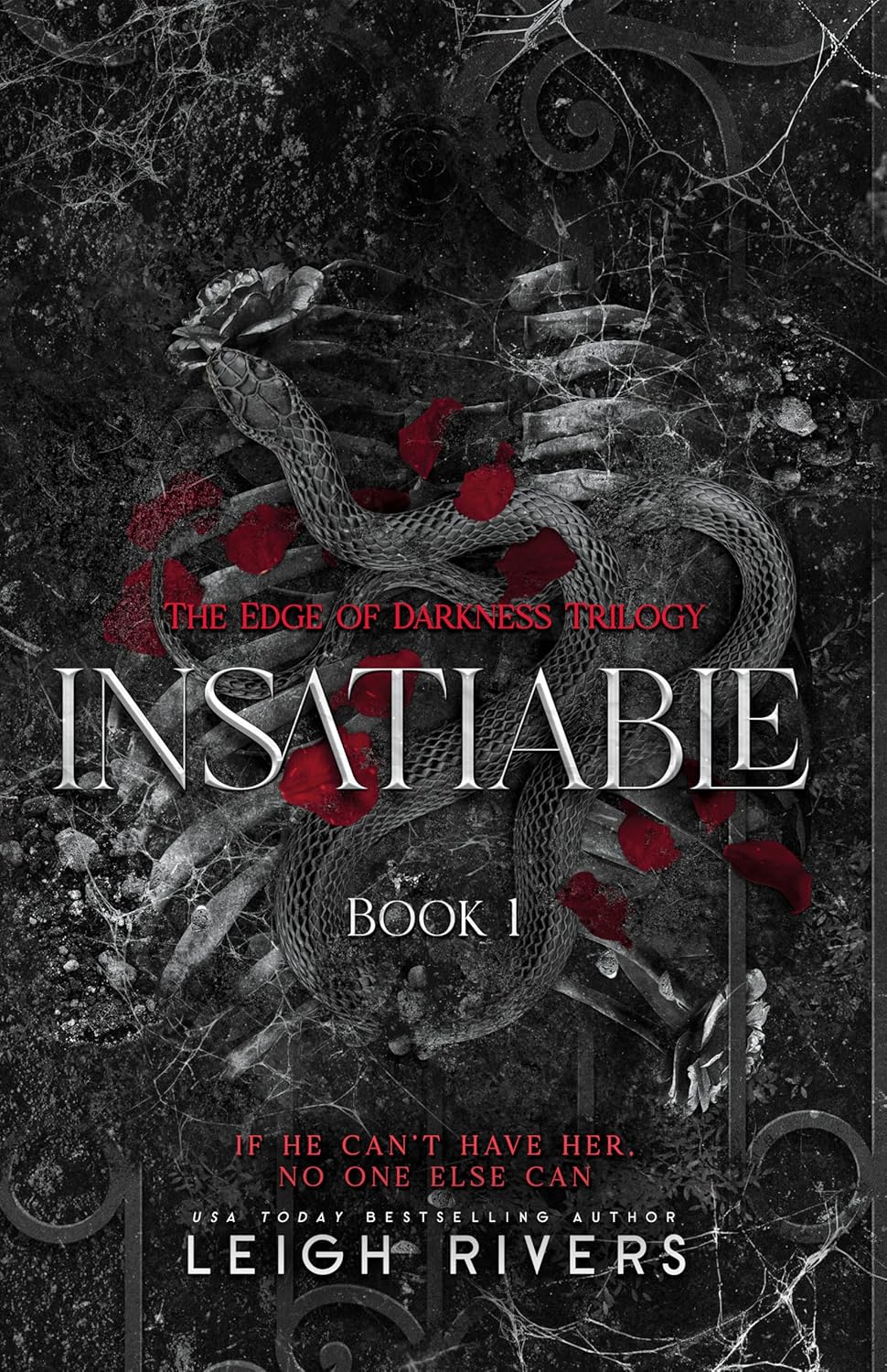 کتاب Insatiable (The Edge of Darkness Trilogy Book 1) اثر Leigh Rivers