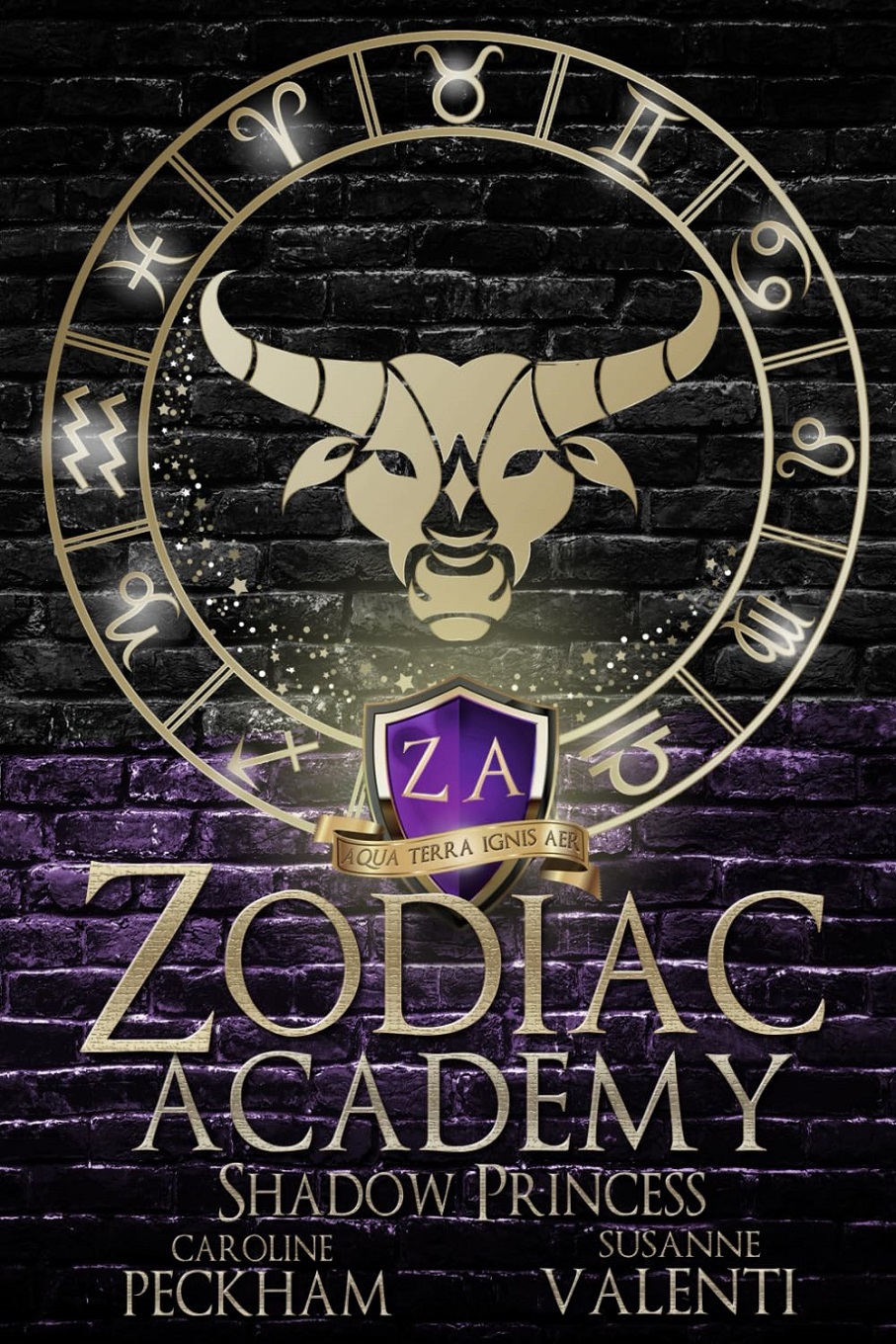 کتاب Shadow Princess (Zodiac Academy Book 4) اثر Caroline Peckham, Susanne Valenti