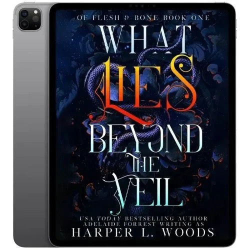 دانلود نسخه کامل کتاب انگلیسی What Lies Beyond the Veil 2022 | رمان انگلیسی | کتاب PDF خارجی