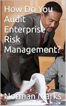 دانلود نسخه کامل کتاب How Do You Audit Enterprise Risk Management?