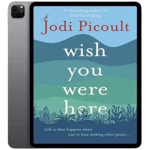 دانلود نسخه کامل کتاب انگلیسی Wish You Were Here 2022 | رمان انگلیسی | کتاب PDF خارجی
