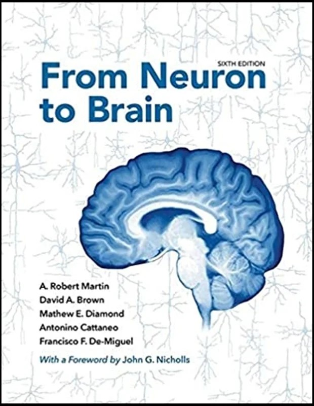 دانلود نسخه کامل کتاب \nFrom Neuron to Brain