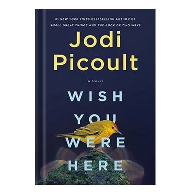 دانلود نسخه کامل کتاب Wish You Were Here by Jodi Picoult
