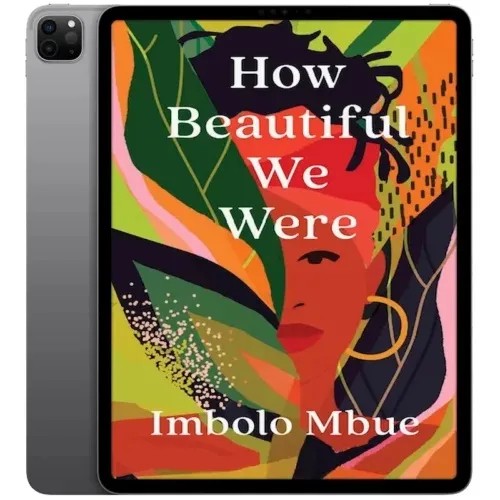 دانلود نسخه کامل کتاب انگلیسی How Beautiful We Were 2021 | رمان انگلیسی | کتاب PDF خارجی
