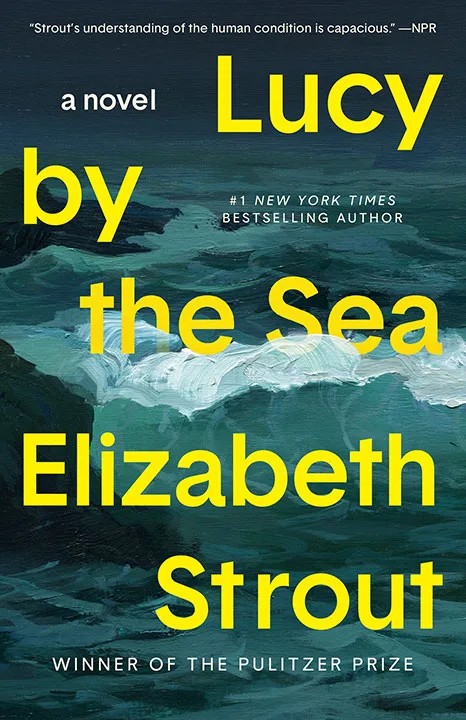 دانلود نسخه کامل کتاب صوتی انگلیسی لوسی کنار دریا، اثر الیزابت استراوت Lucy by the Sea by Elizabeth Strout