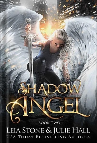 دانلود نسخه کامل کتاب Shadow Angel: Book Two