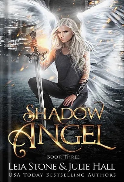 دانلود نسخه کامل کتاب Shadow Angel: Book Three