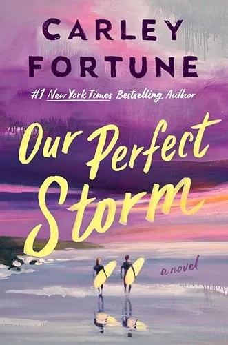 دانلود نسخه کامل کتاب Our Perfect Storm