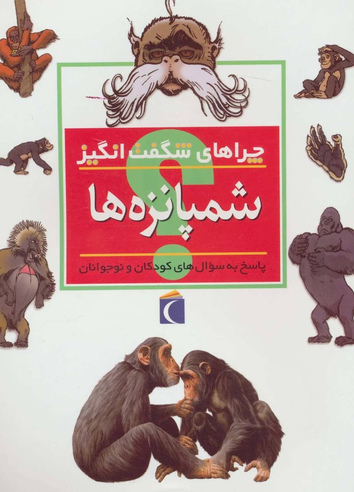 کتاب شمپانزه ها | انتشارات محراب قلم