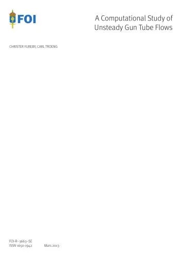 دانلود نسخه کامل کتاب A computational study of unsteady gun tube flows