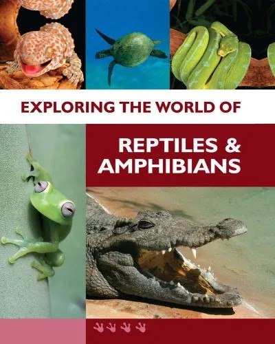 دانلود نسخه کامل کتاب Exploring the World of Reptiles and Amphibians