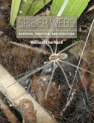دانلود نسخه کامل کتاب Spider Webs: Behavior, Function, and Evolution
