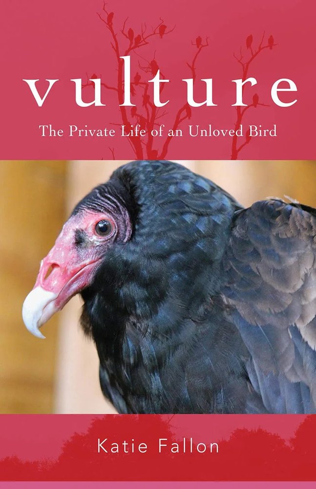 دانلود نسخه کامل کتاب Vulture: The Private Life of an Unloved Bird