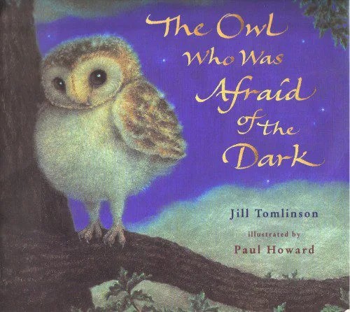 دانلود نسخه کامل کتاب The Owl Who Was Afraid of the Dark
