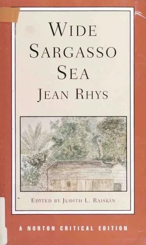دانلود نسخه کامل کتاب Wide Sargasso Sea