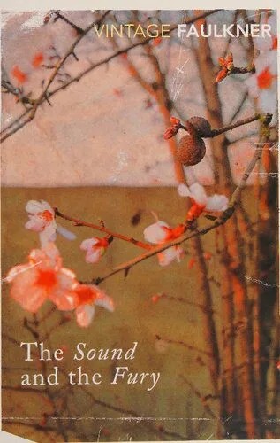 دانلود نسخه کامل کتاب The Sound and the Fury